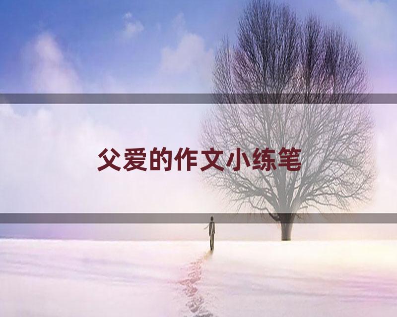 父爱的作文小练笔