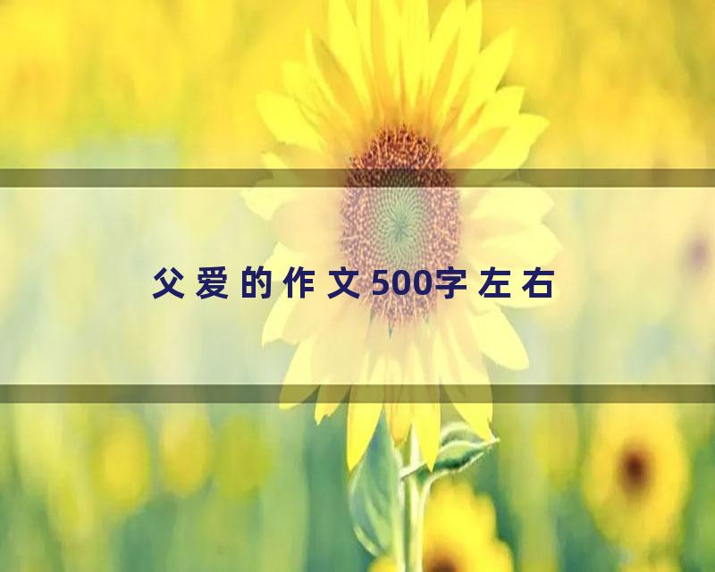 父爱的作文500字左右