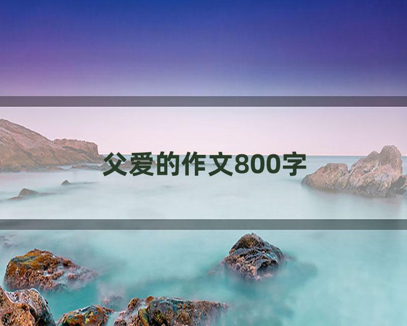 父爱的作文800字