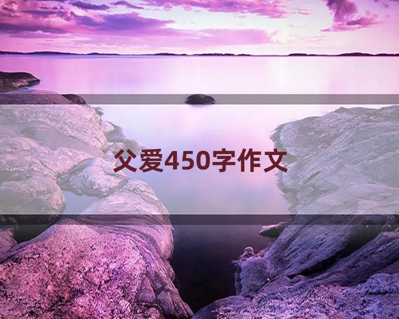 父爱450字作文