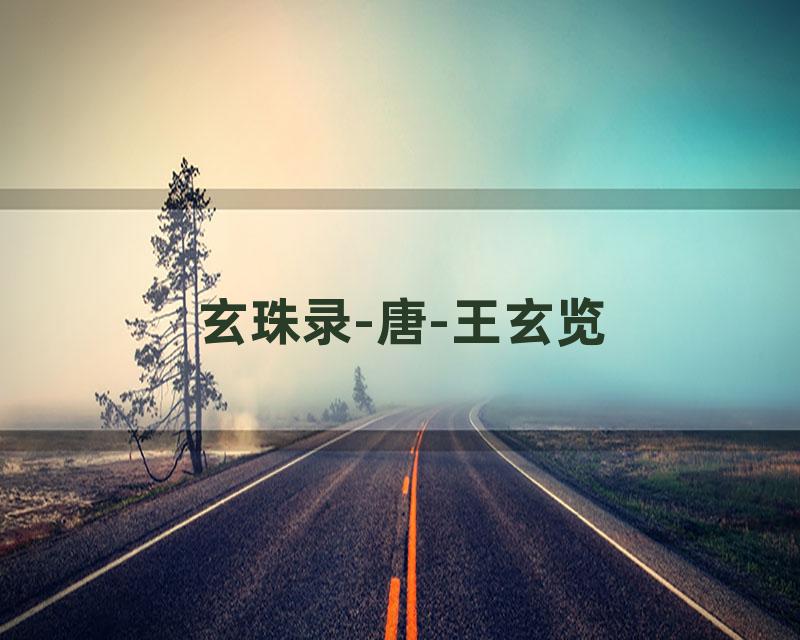 玄珠录-唐-王玄览