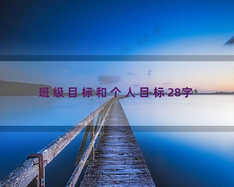 班级目标和个人目标28字