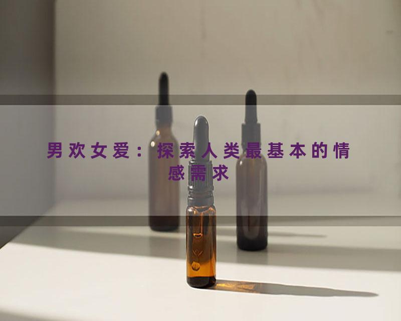 男欢女爱：探索人类最基本的情感需求