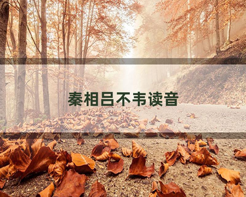 秦相吕不韦读音