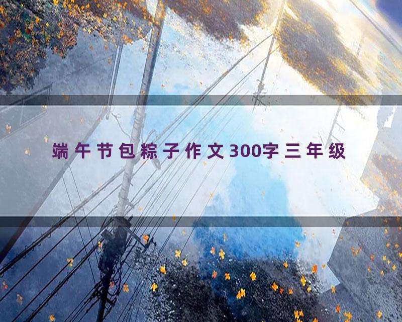 端午节包粽子作文300字三年级