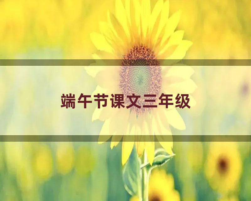 端午节课文三年级