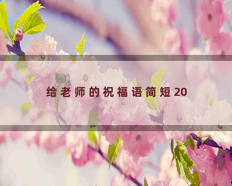 给老师的祝福语简短20