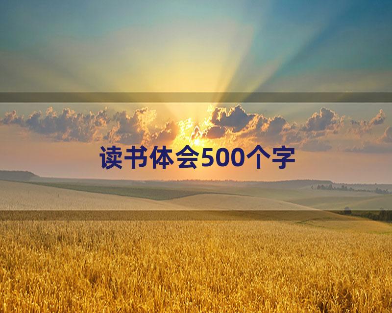 读书体会500个字