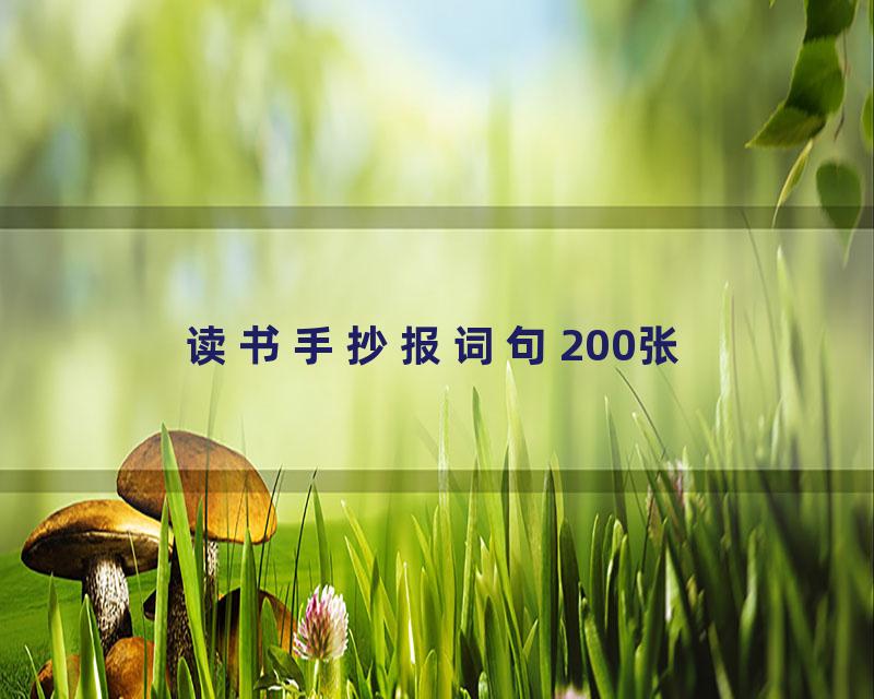 读书手抄报词句200张