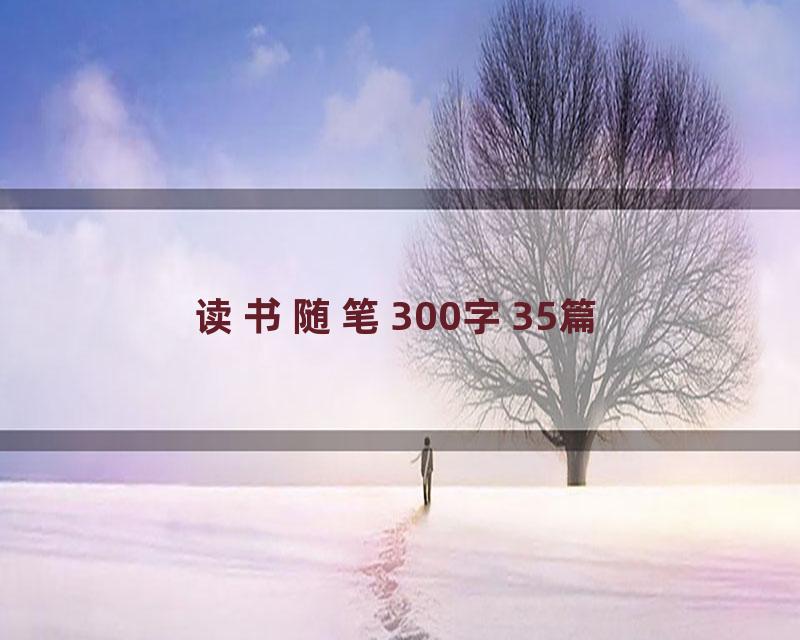 读书随笔300字35篇