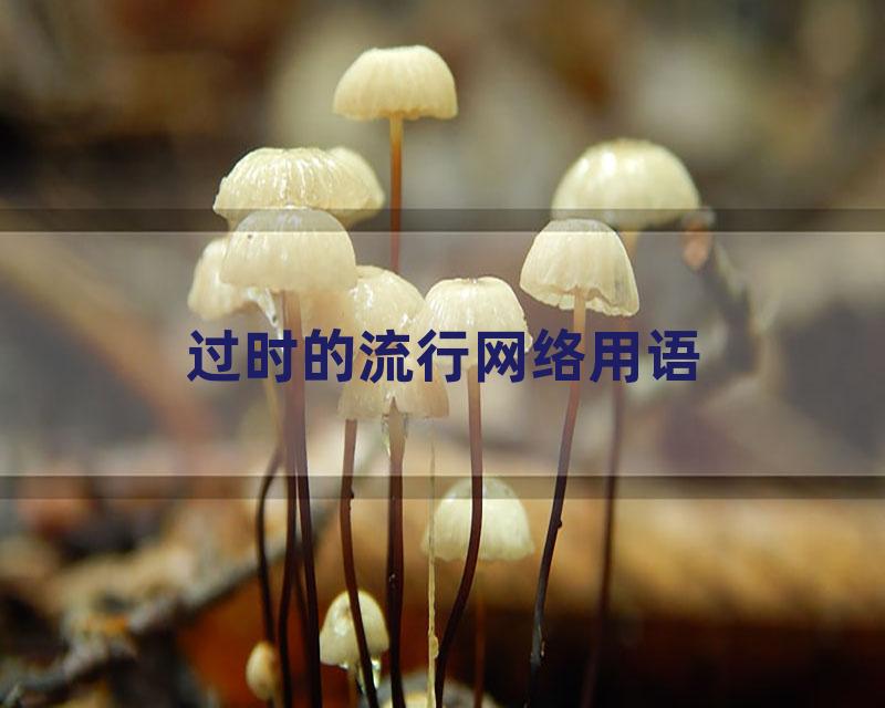 过时的流行网络用语