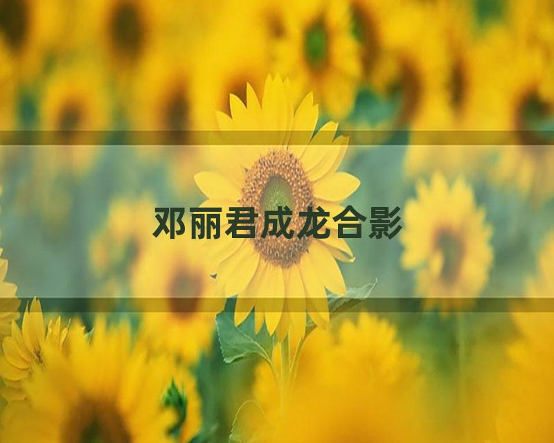 邓丽君成龙合影