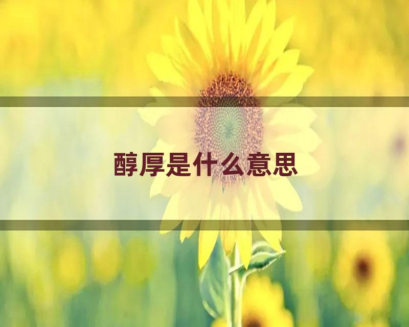 醇厚是什么意思