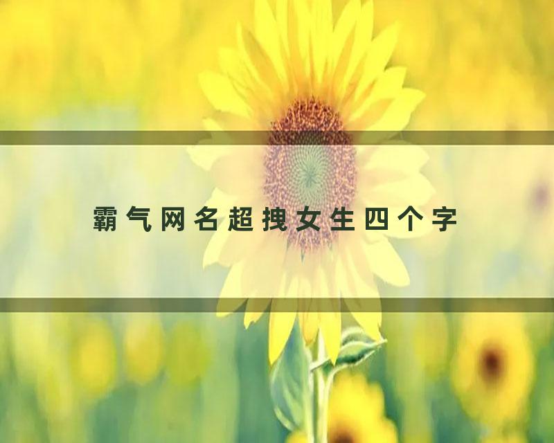 霸气网名超拽女生四个字