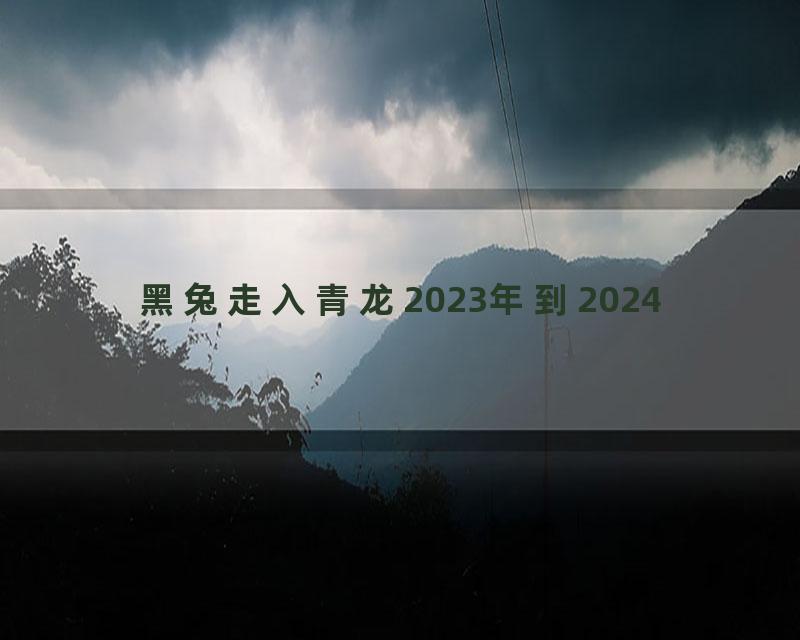 黑兔走入青龙2023年到2024