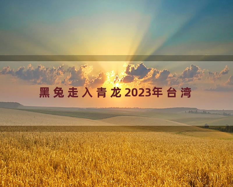 黑兔走入青龙2023年台湾