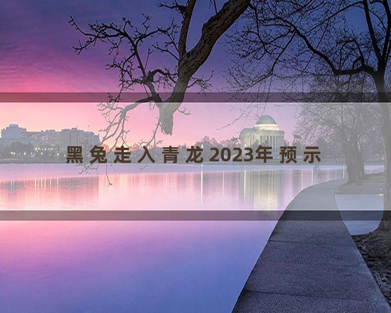 黑兔走入青龙2023年预示