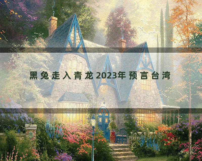 黑兔走入青龙2023年预言台湾