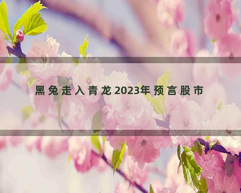 黑兔走入青龙2023年预言股市