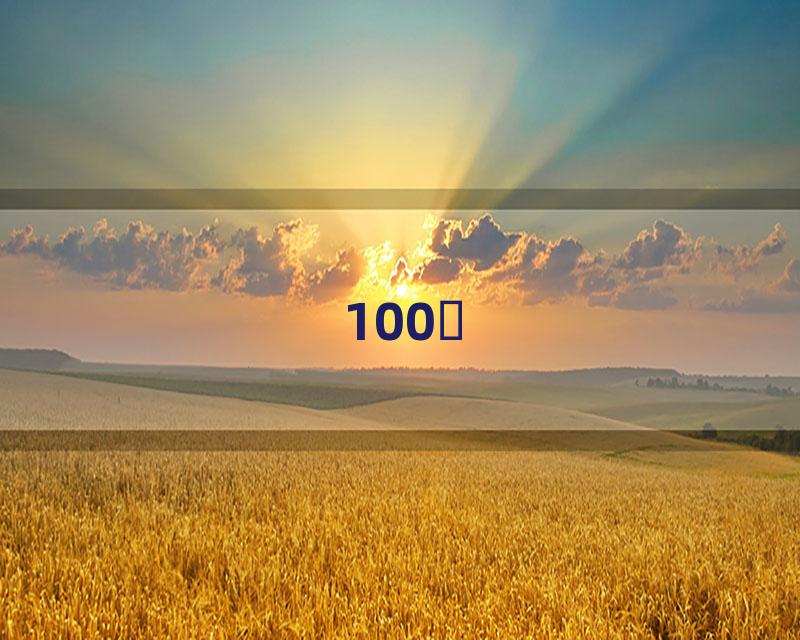 100ƪ