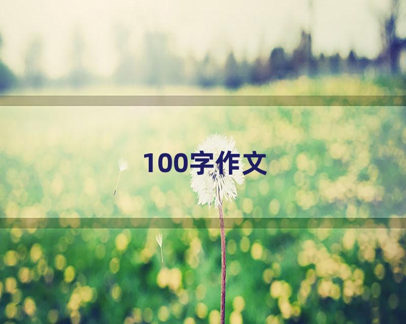 100字作文