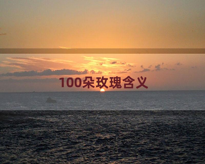 100朵玫瑰含义