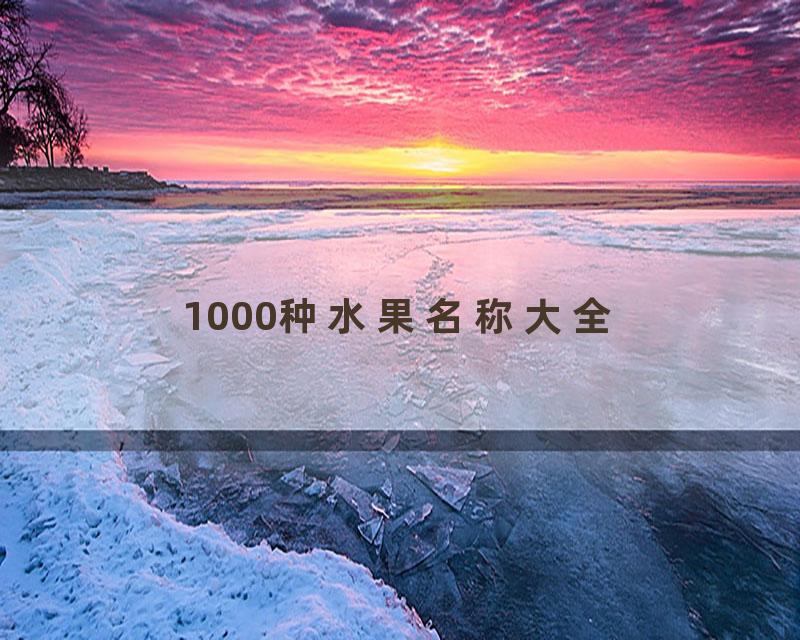 1000种水果名称大全