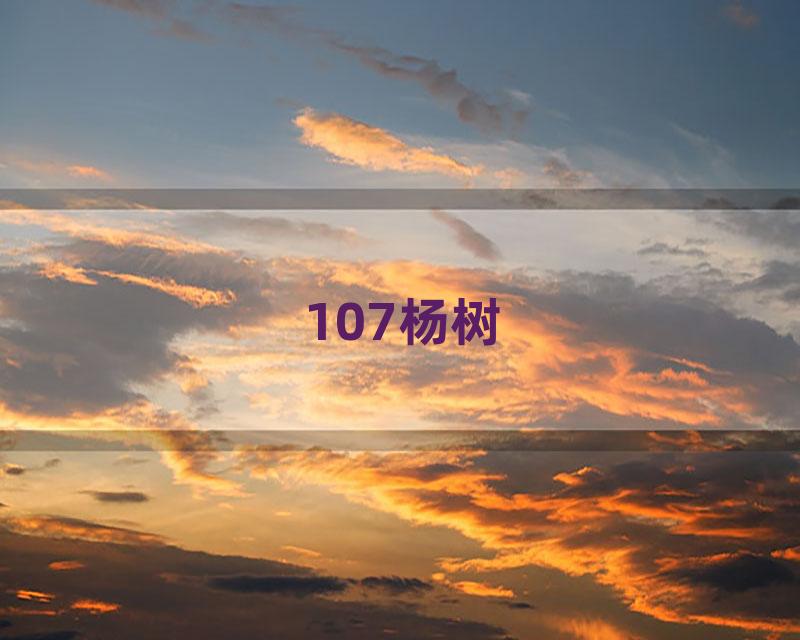 107杨树