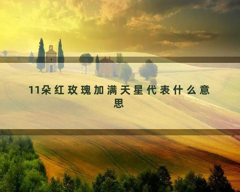 11朵红玫瑰加满天星代表什么意思