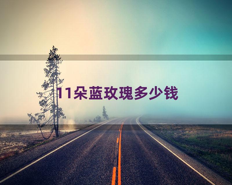 11朵蓝玫瑰多少钱