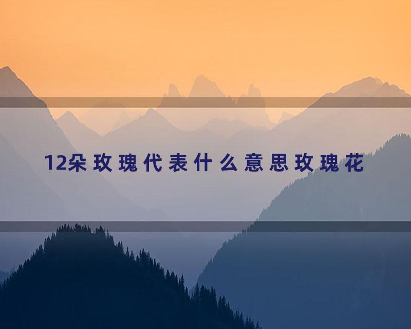 12朵玫瑰代表什么意思玫瑰花