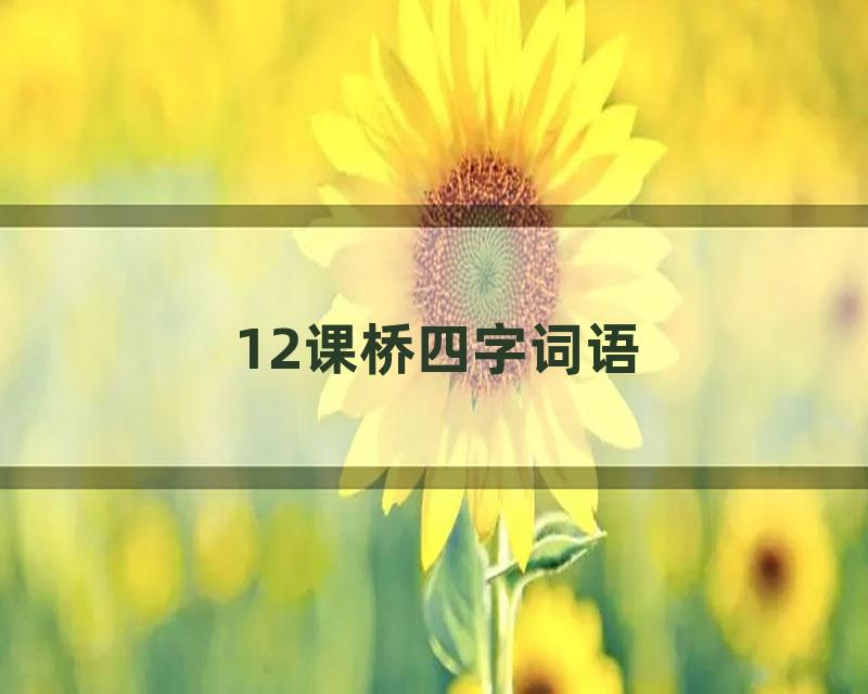 12课桥四字词语