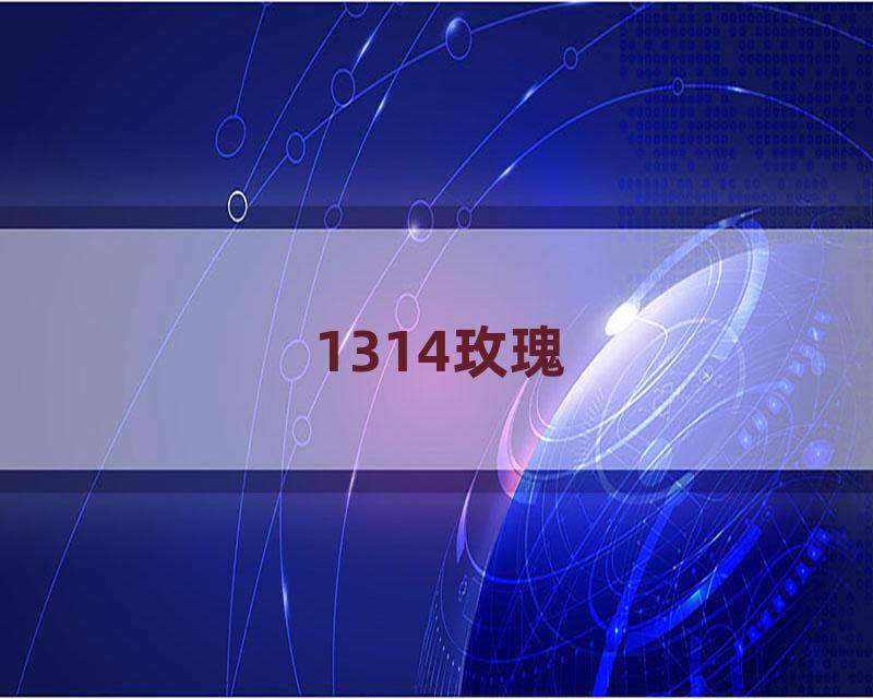 1314玫瑰