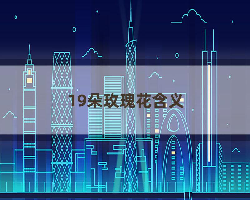 19朵玫瑰花含义