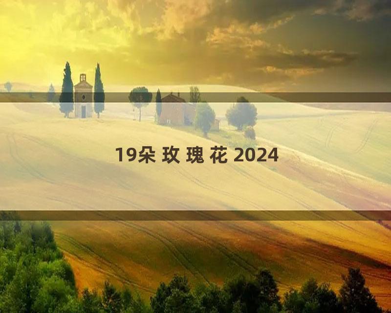 19朵玫瑰花2024