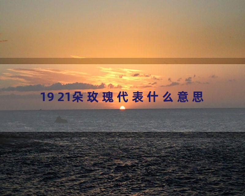 19 21朵玫瑰代表什么意思