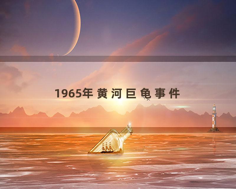 1965年黄河巨龟事件