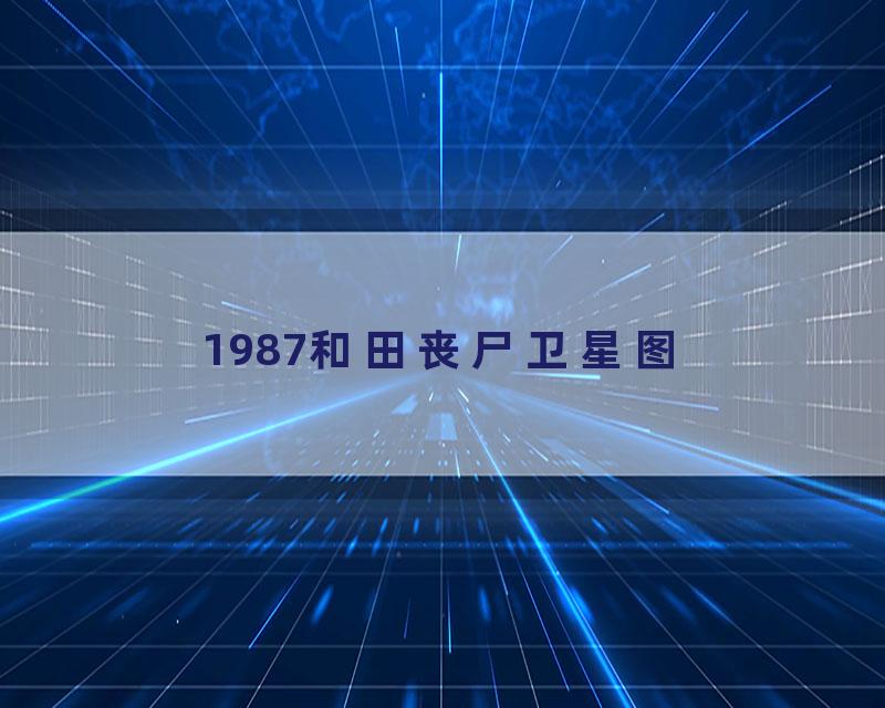 1987和田丧尸卫星图