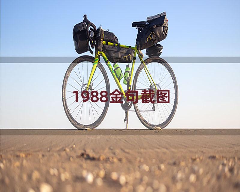 1988金句截图