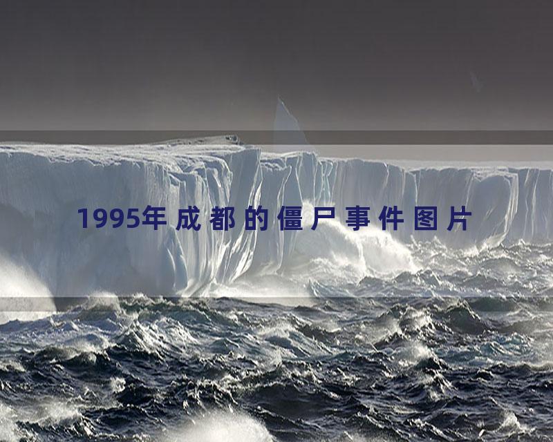 1995年成都的僵尸事件图片