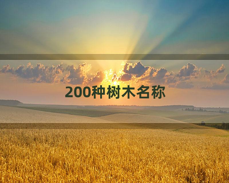 200种树木名称