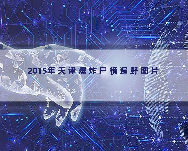 2015年天津爆炸尸横遍野图片