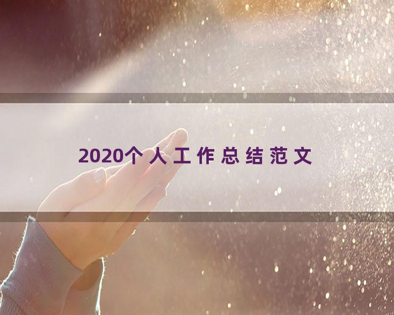 2020个人工作总结范文