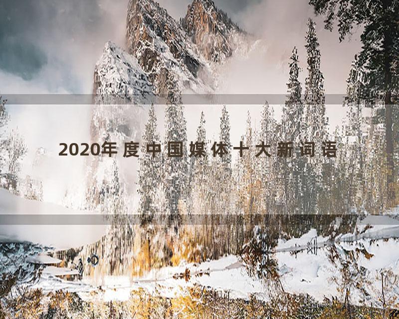 2020年度中国媒体十大新词语