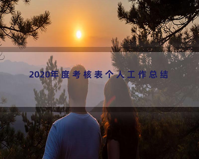 2020年度考核表个人工作总结