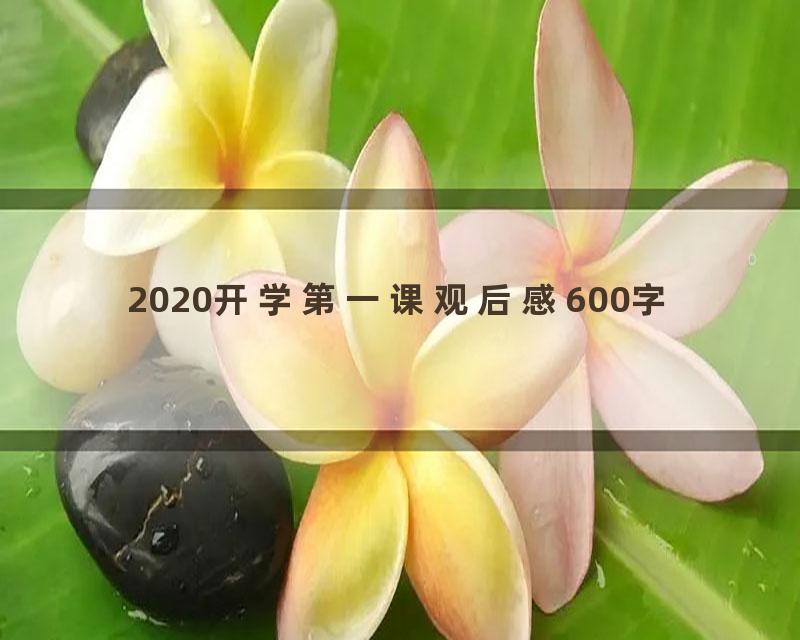 2020开学第一课观后感600字