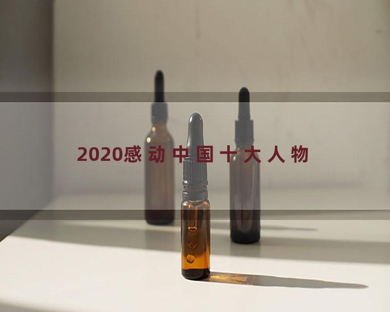 2020感动中国十大人物