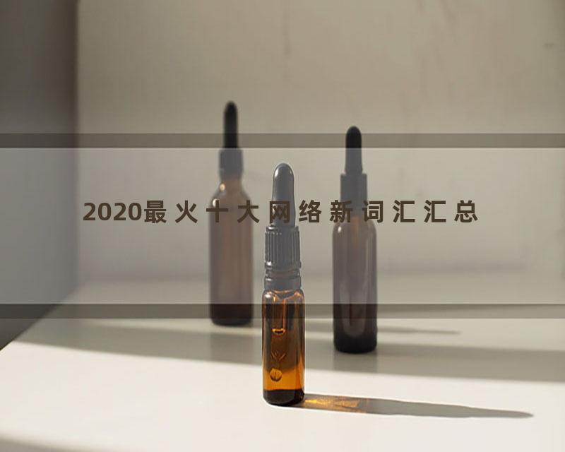 2020最火十大网络新词汇汇总