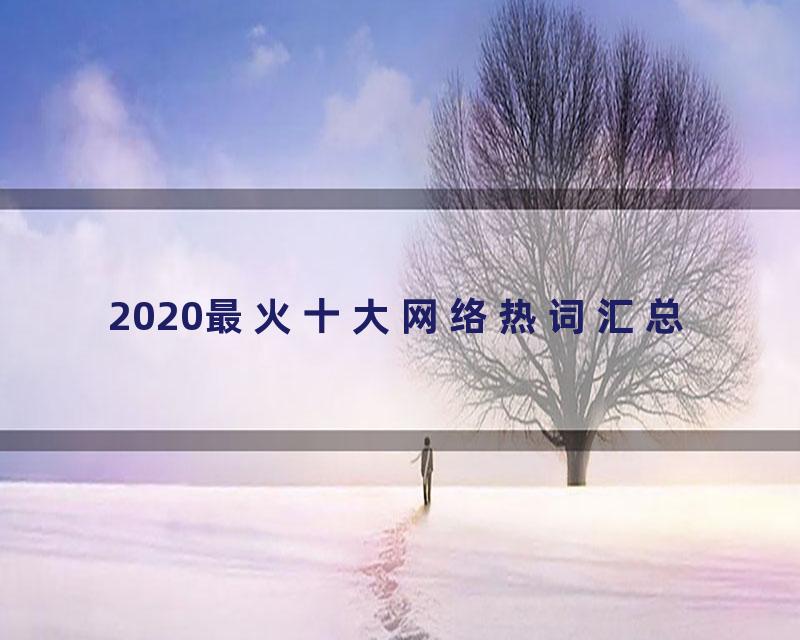 2020最火十大网络热词汇总