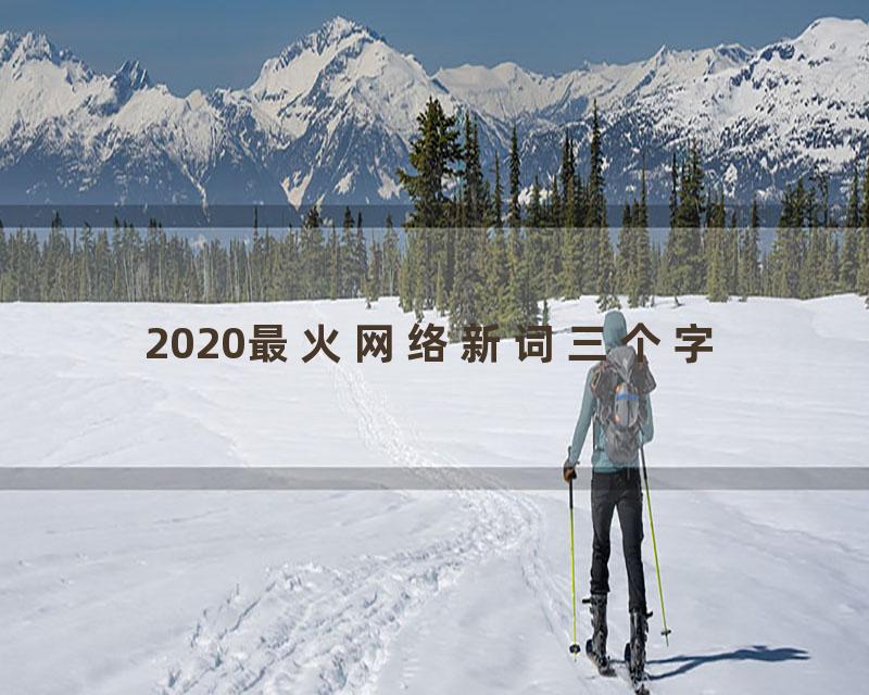 2020最火网络新词三个字